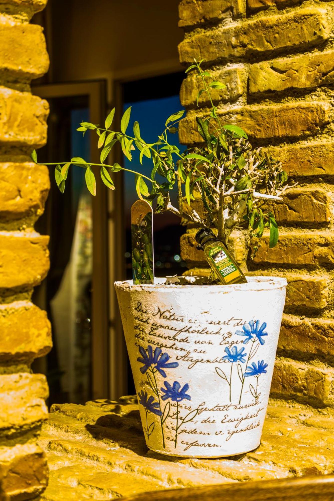 Hotel El Balcon De Las Nieves La Zubia  Εξωτερικό φωτογραφία