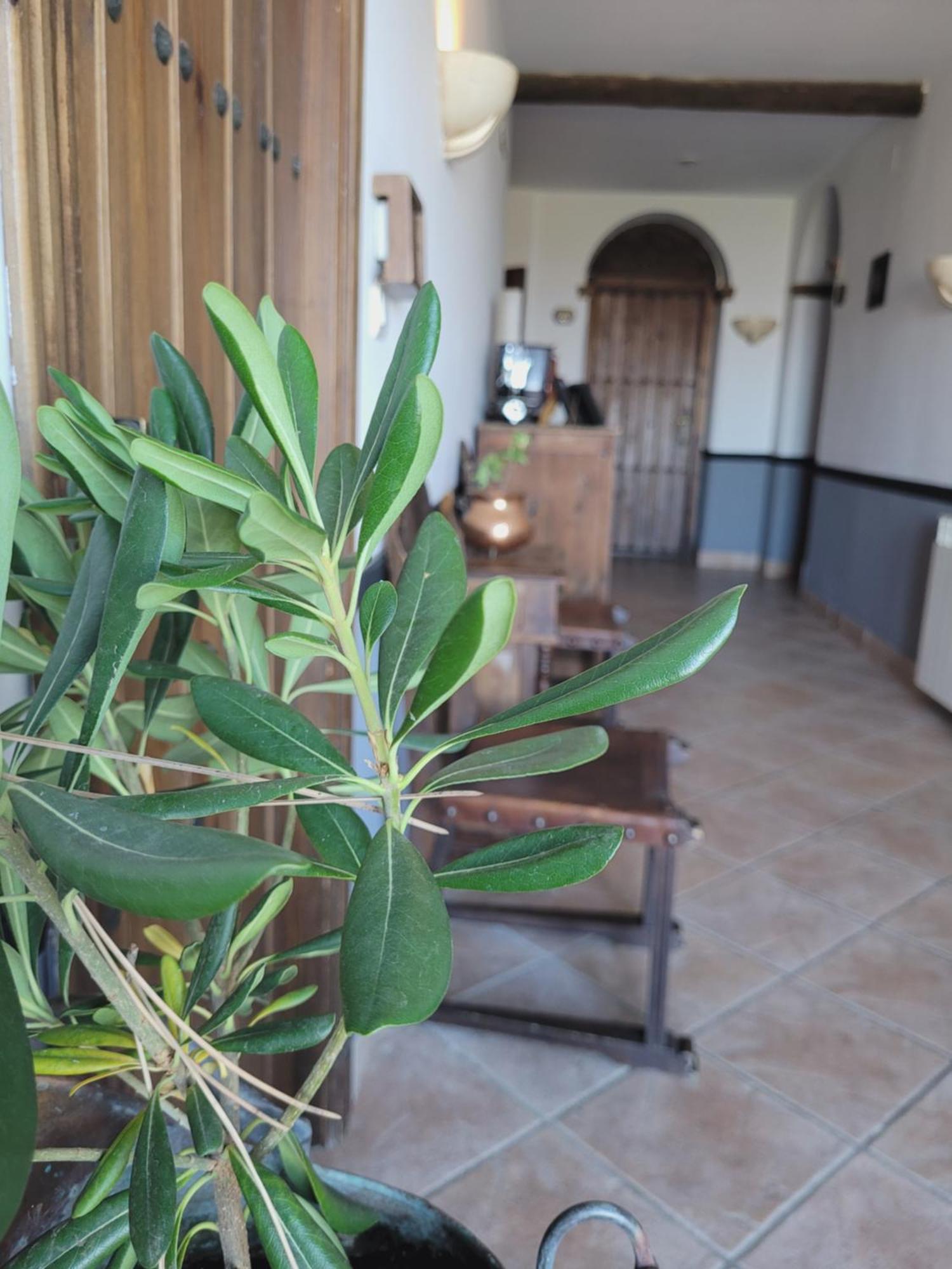 Hotel El Balcon De Las Nieves La Zubia  Εξωτερικό φωτογραφία