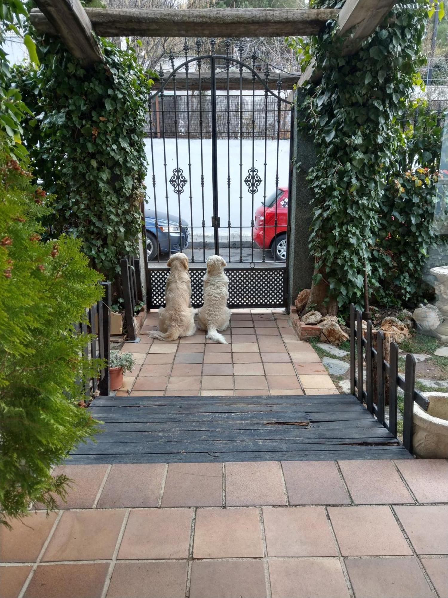 Hotel El Balcon De Las Nieves La Zubia  Εξωτερικό φωτογραφία